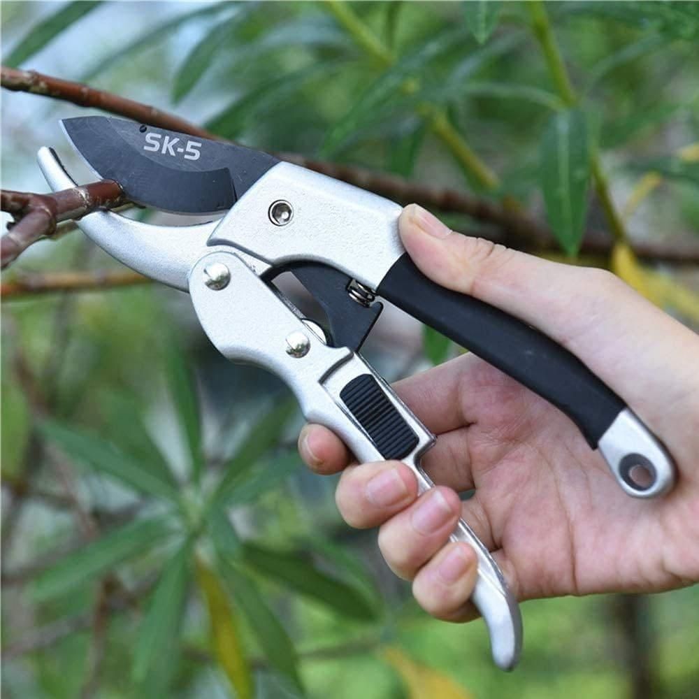 Pruning Shears