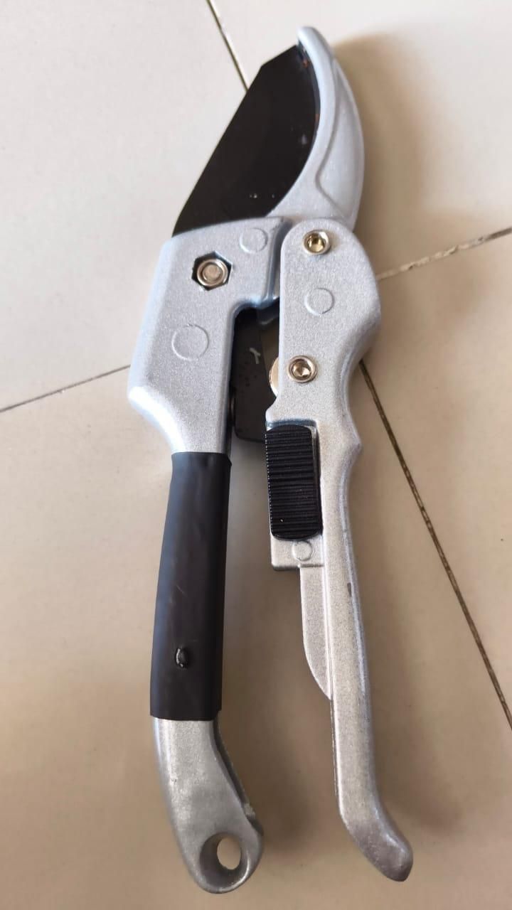 Pruning Shears