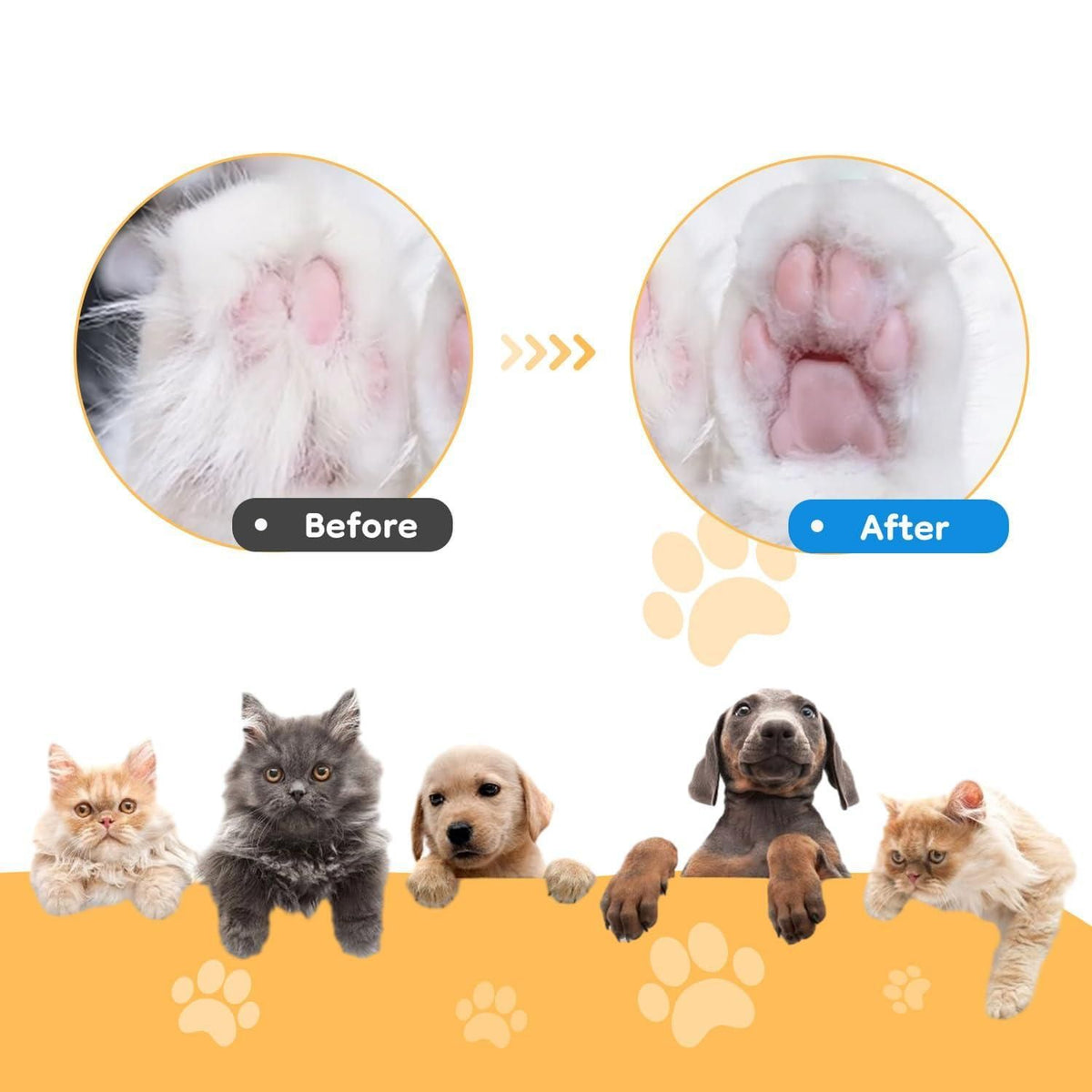 Paw Hair Trimmer